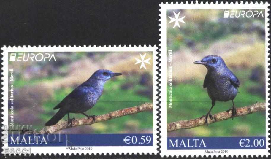 Чисти марки Европа СЕПТ  Птици 2019 от Малта
