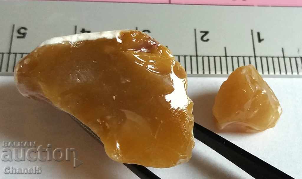 Δημοπρασία ΦΥΣΗ ΘΕΡΜΑΝΣΗ - 2 τεμάχια - 31.15 καράτια (81)