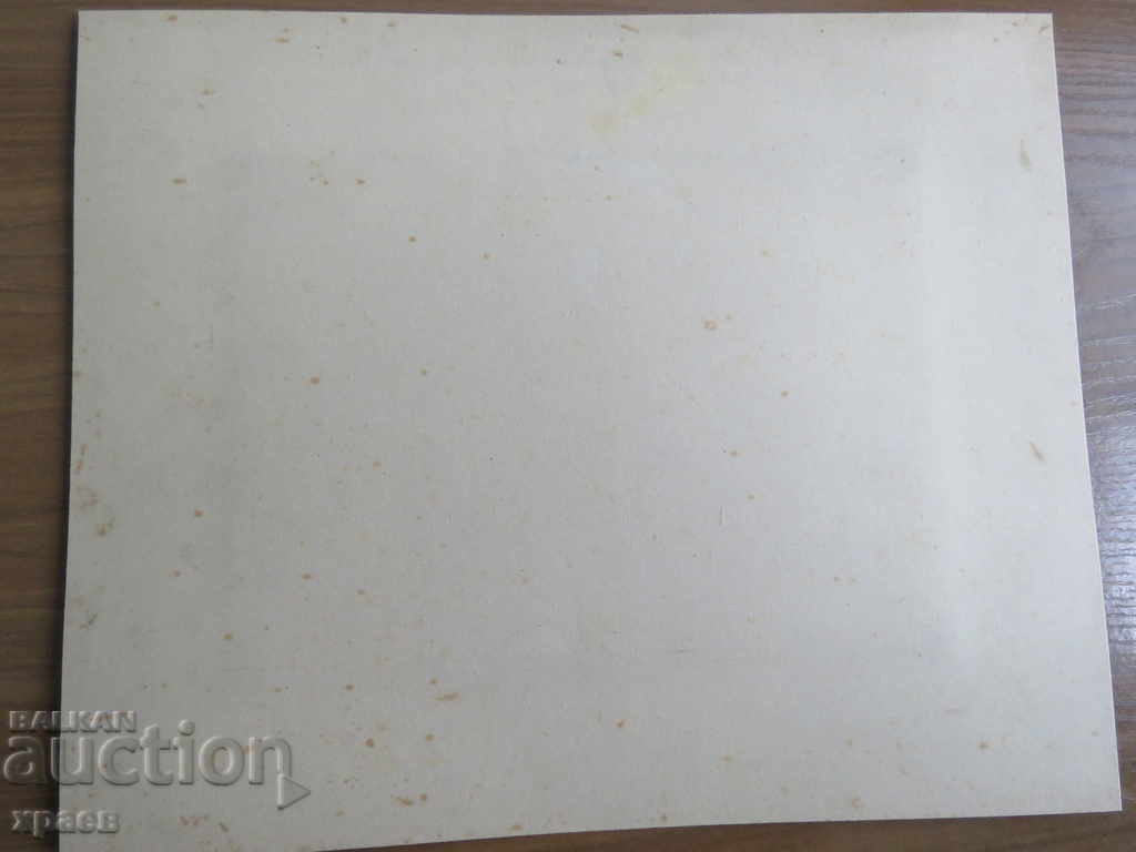 Licitație FOTO VECHE - CARTON - MARE - 0554