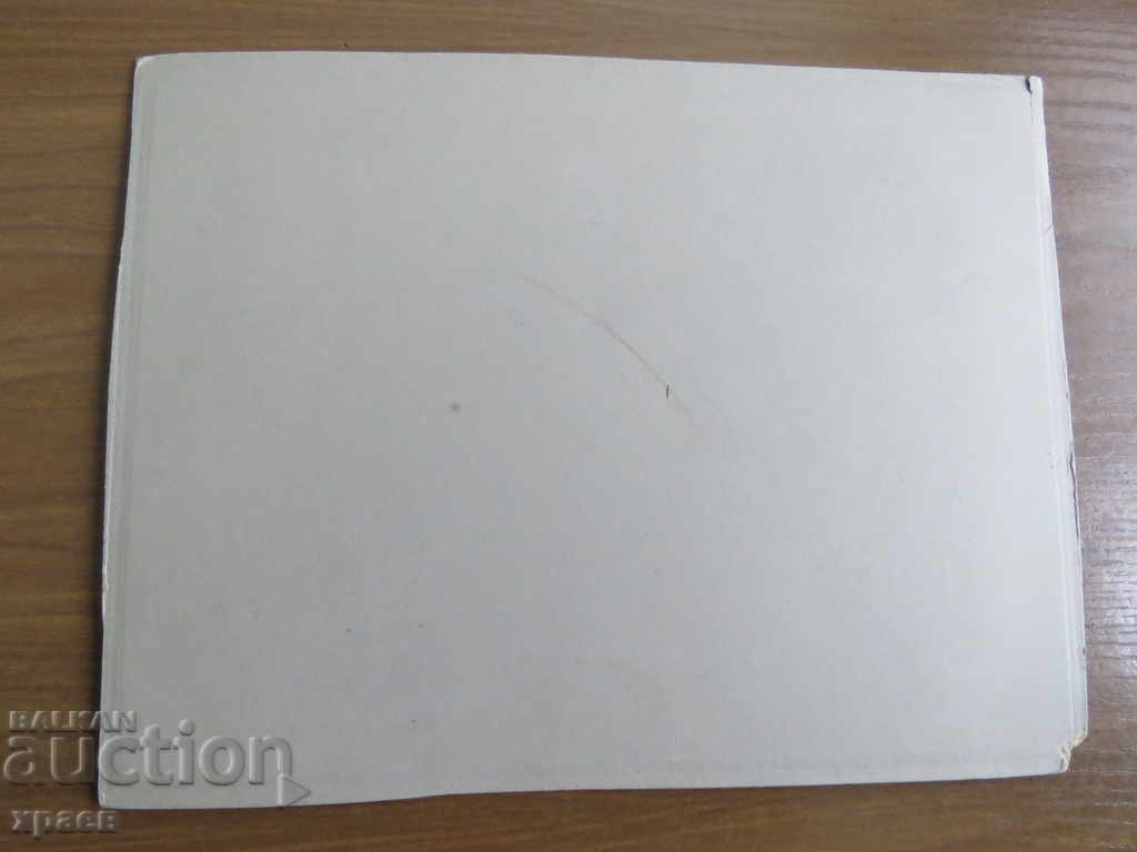 Licitație FOTO VECHE - CARTON - MARE - 0558