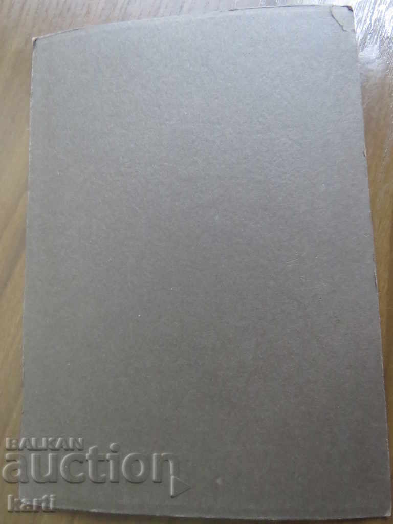 Auction STAR PHOTOGRAPHY - CARD Auction STAR PHOTOGRAPHY - CARD