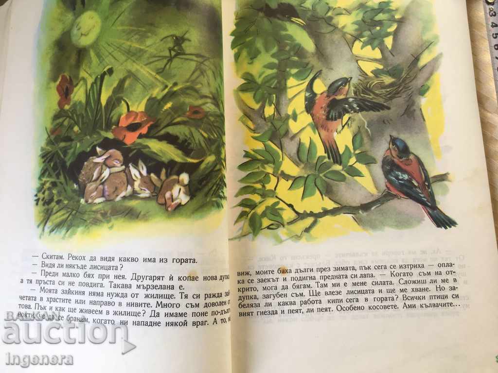 CARTE CU POVEȘTI ILUSTRAȚII-1975 - 7 CARTE CU POVEȘTI ILUSTRAȚII-1975 - 7