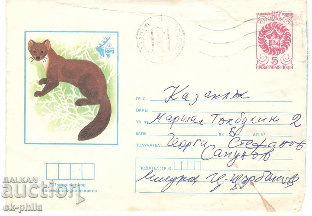 Post envelope - EXPO 81 - Squirrel