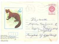 Post envelope - EXPO 81 - Squirrel
