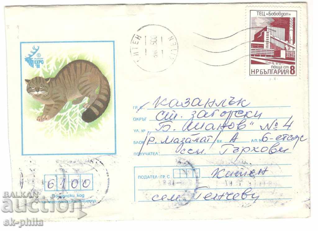Ταχυδρομικός φάκελος - EXPO 81 - Άγρια γάτα