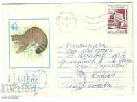 Пощенски плик - ЕКСПО 81 - Дива котка