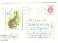 Post Envelope - EXPO 81 - Wild Rabbit