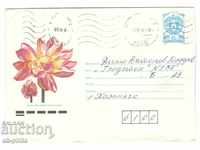 Post envelope - Flowers - Egyptian lotus