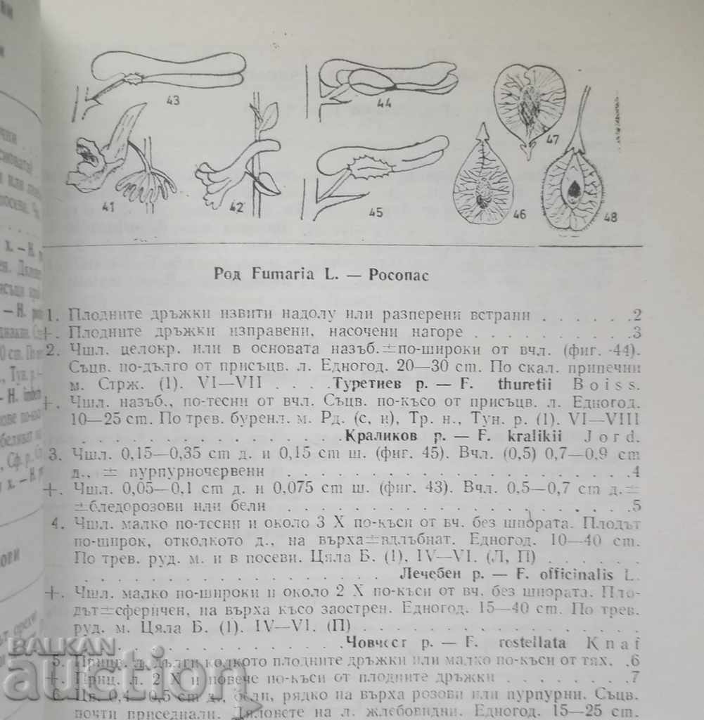 Auction Determinant of Plants in Bulgaria - D. Delipavlov 1992. Auction Determinant of Plants in Bulgaria - D. Delipavlov 1992.