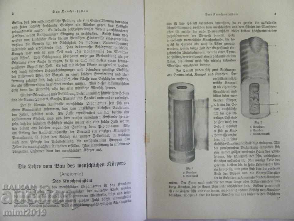 Delivery of 1928 The Doctor's Book at Home