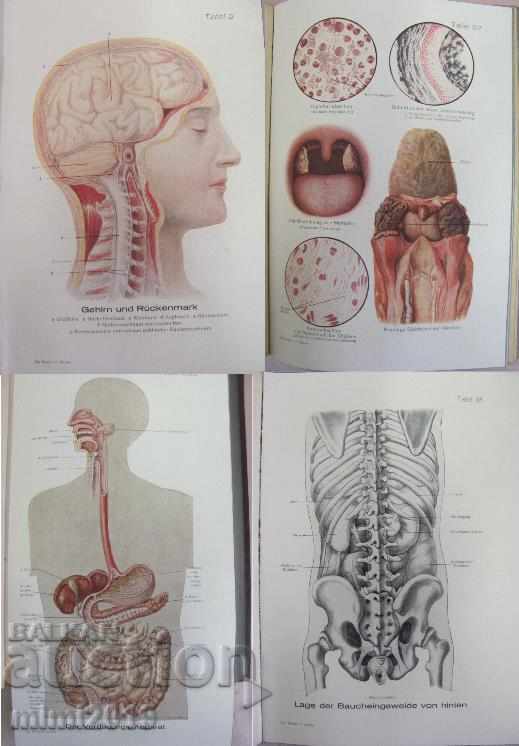 1928 The Doctor's Book at Home - 7
