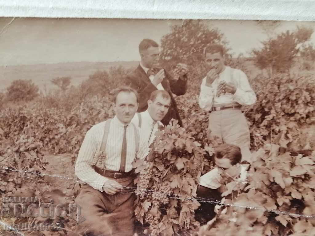 Photo paper photography 20s with price 25.00 BGN | € 12.78 Photo paper photography 20s with price 25.00 BGN | € 12.78