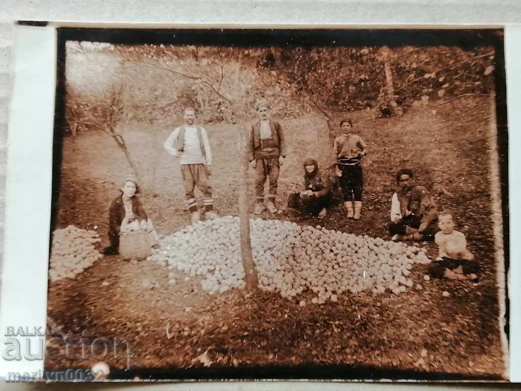 Photo paper photography 20s with price 25.00 BGN | € 12.78 Photo paper photography 20s with price 25.00 BGN | € 12.78