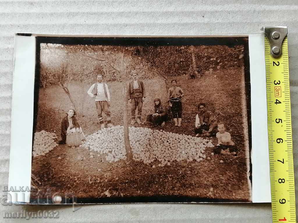 Delivery of Photo paper photography 20s Delivery of Photo paper photography 20s