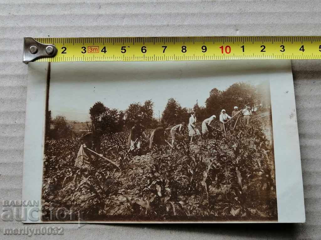 Photo paper photography 20s with price 23.00 BGN | € 11.76 Photo paper photography 20s with price 23.00 BGN | € 11.76