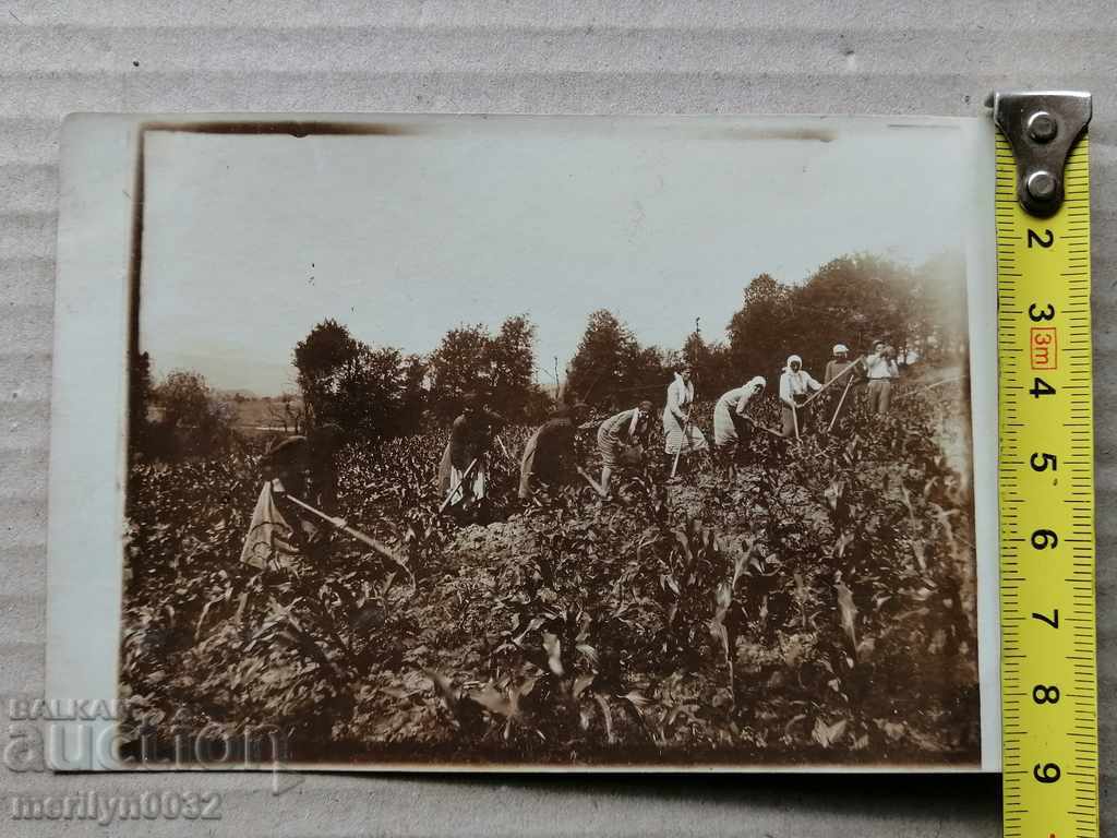 Auction Photo paper photography 20s Auction Photo paper photography 20s