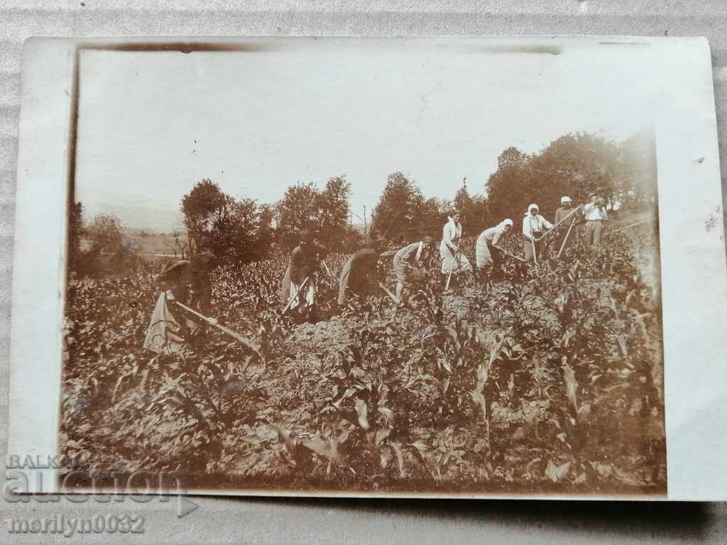 Photo paper photography 20s - 5 Photo paper photography 20s - 5