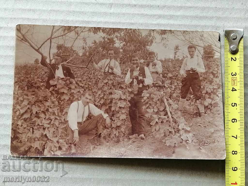 Photo paper photography 20s with price 23.00 BGN | € 11.76 Photo paper photography 20s with price 23.00 BGN | € 11.76