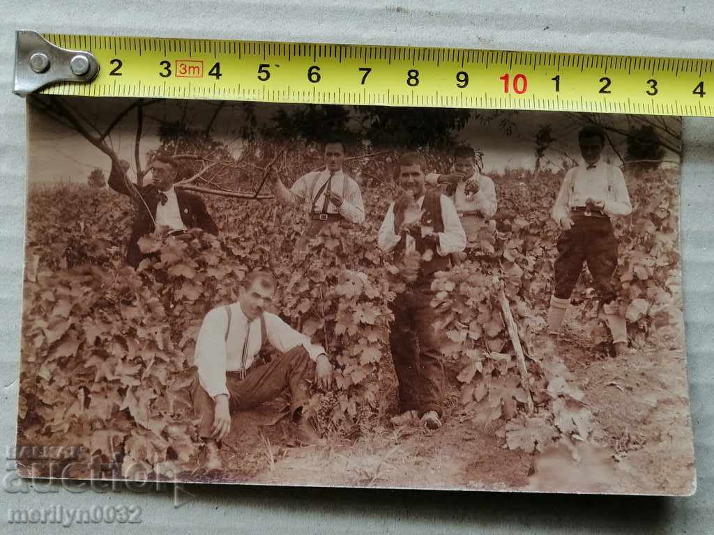 Auction Photo paper photography 20s Auction Photo paper photography 20s