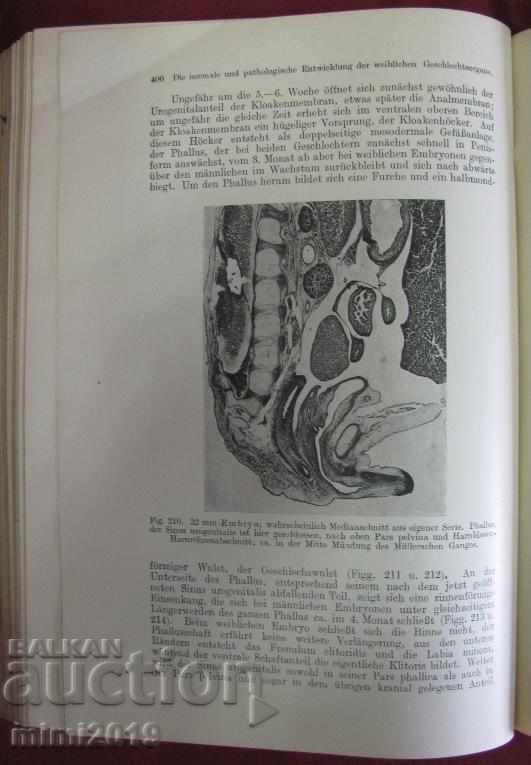 1922г. Книга Гинекология Германия - 5 1922г. Книга Гинекология Германия - 5
