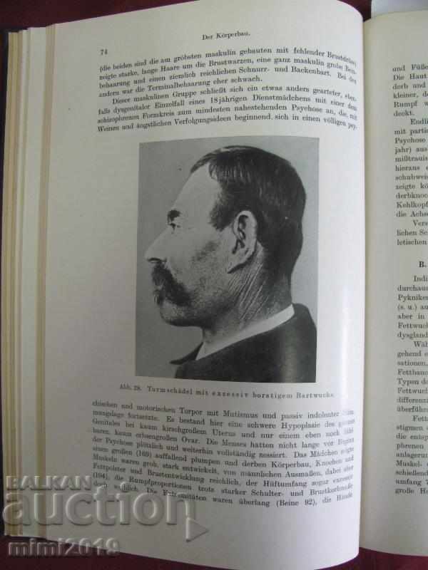 1931 Book Korperbau und Charakter Germany - 7 1931 Book Korperbau und Charakter Germany - 7