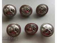 4195 Kingdom of Bulgaria 6 small infantry buttons Boris III