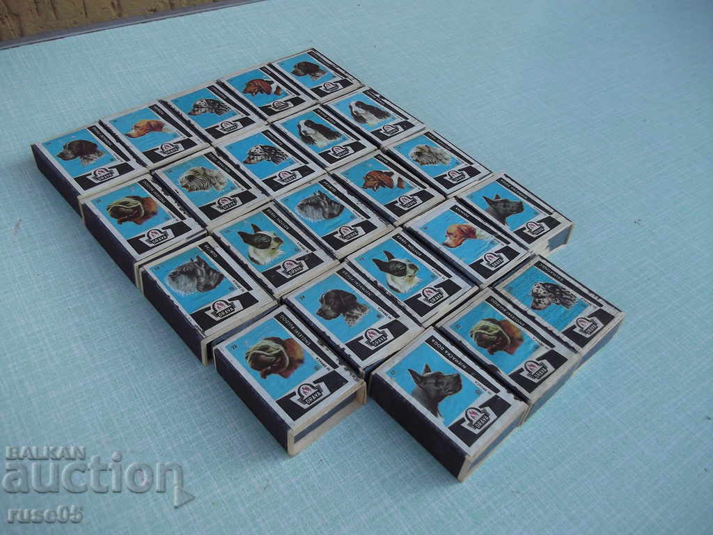 Auction Lot of 23 pcs. dog-like matches Auction Lot of 23 pcs. dog-like matches
