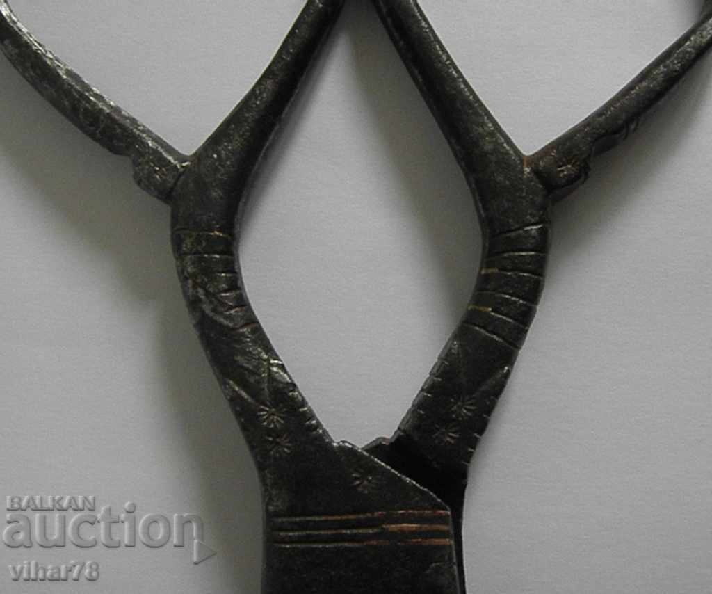 A HUGE OLD FORGED ABADGE SCISSOR - 5 A HUGE OLD FORGED ABADGE SCISSOR - 5