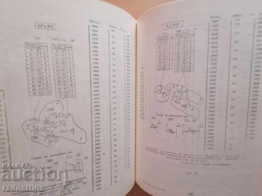 Auction Normal bioconstants N. Boshev B. Polnarev H. Pandov Auction Normal bioconstants N. Boshev B. Polnarev H. Pandov