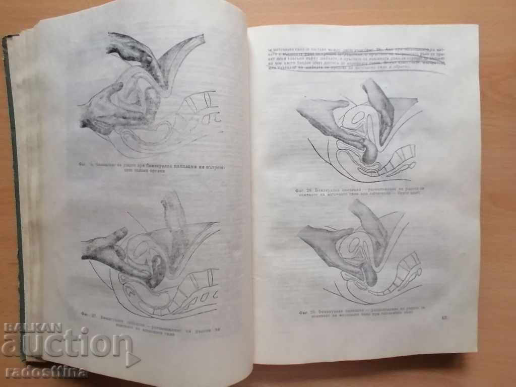 Auction Gynecology Il. Storkalev Auction Gynecology Il. Storkalev