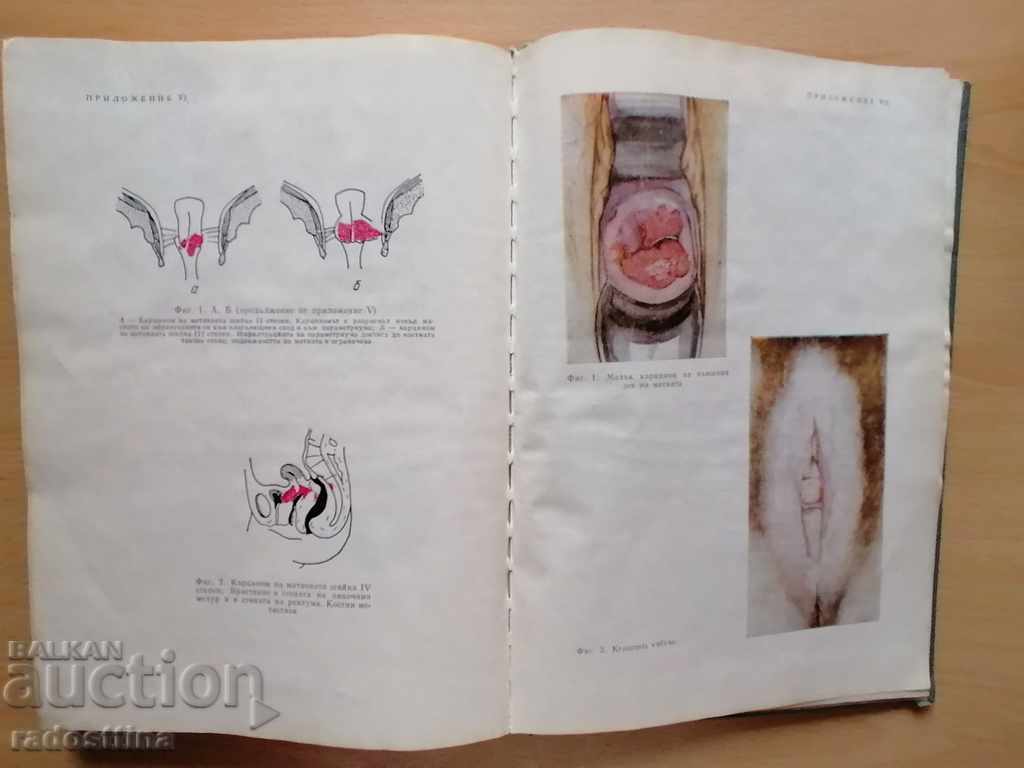 Gynecology Il. Storkalev - 7 Gynecology Il. Storkalev - 7