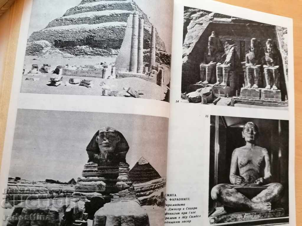 Livrarea Minunata istorie a artei Dragan Tenev