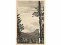 Old Postcard - Borovets, Vista