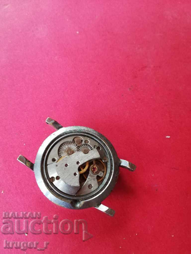 Urmărește ZARYA Youth - 6