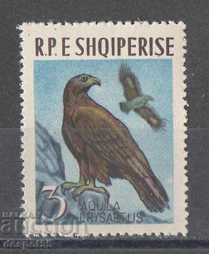 1963. Albania. Eagle.