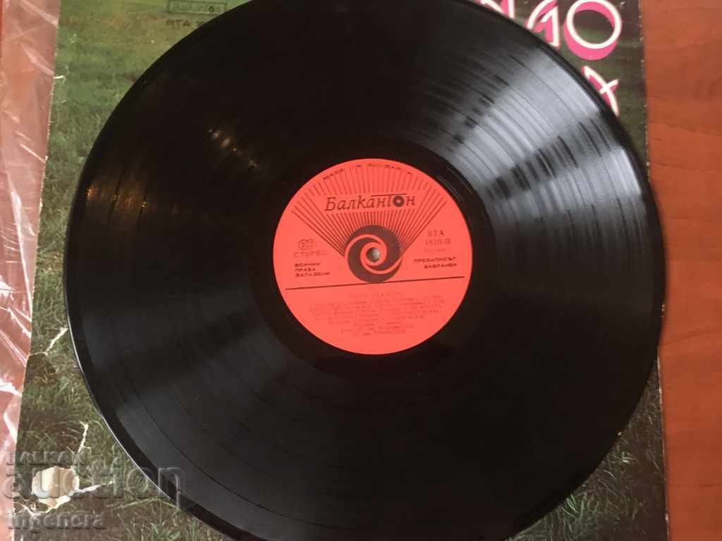 GRAPHIC PANEL-LARGE LILY IVANOV with price 5.00 BGN | € 2.56 GRAPHIC PANEL-LARGE LILY IVANOV with price 5.00 BGN | € 2.56