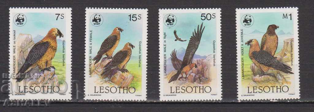 1986 Fauna -Birds -WWF 4 valori-Lesotho pur