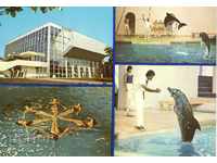 Old postcard - Varna, Dolphinarium