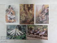 5 PUBLIC CARDS - "FAUNA"