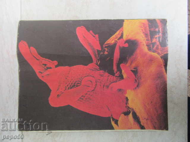 Delivery of COSMOS Magazine - Issue 8 - 1989