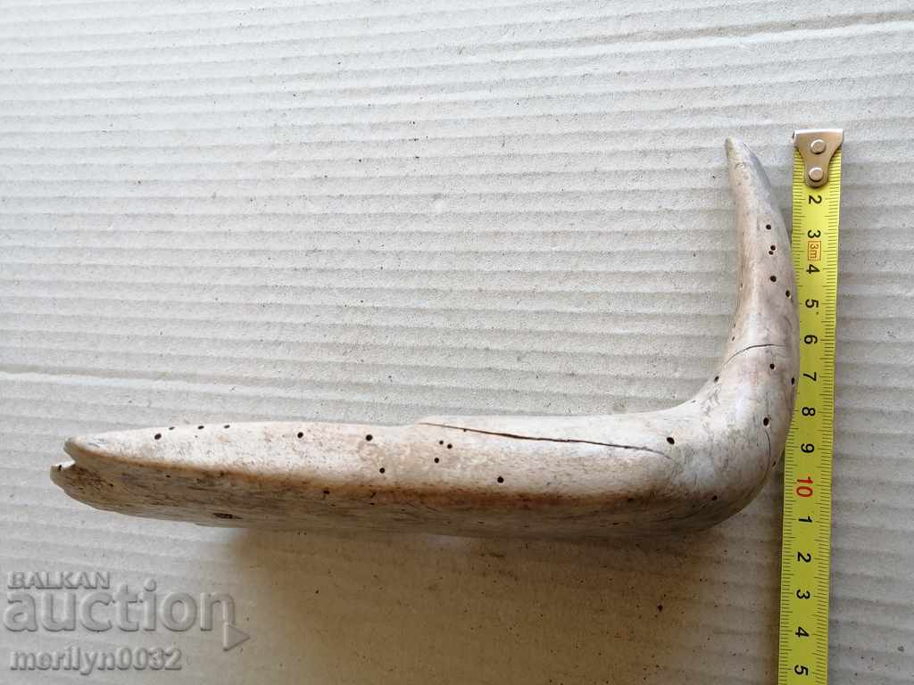 Hand palm tree - 5 Hand palm tree - 5