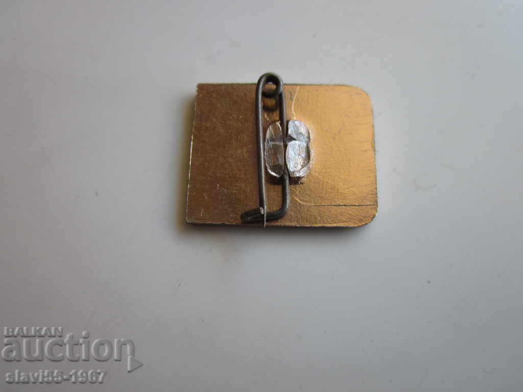 Insigna de METAL V. TURNOVO BZ !!! cu preț 1.00 BGN | € 0.51