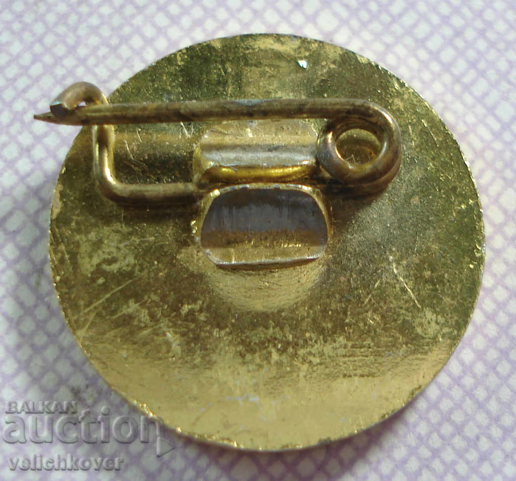 18461 Bulgaria flag football club General Toshevo with price 3.00 BGN | € 1.53 18461 Bulgaria flag football club General Toshevo with price 3.00 BGN | € 1.53