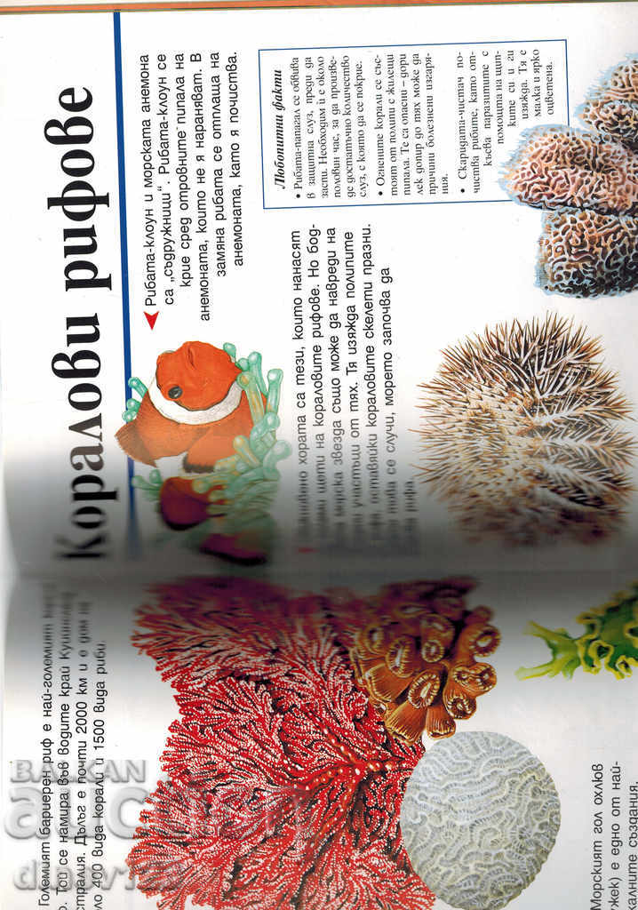 Delivery of LET'S LEARN MORE ABOUT SEA AND OCEANS Delivery of LET'S LEARN MORE ABOUT SEA AND OCEANS