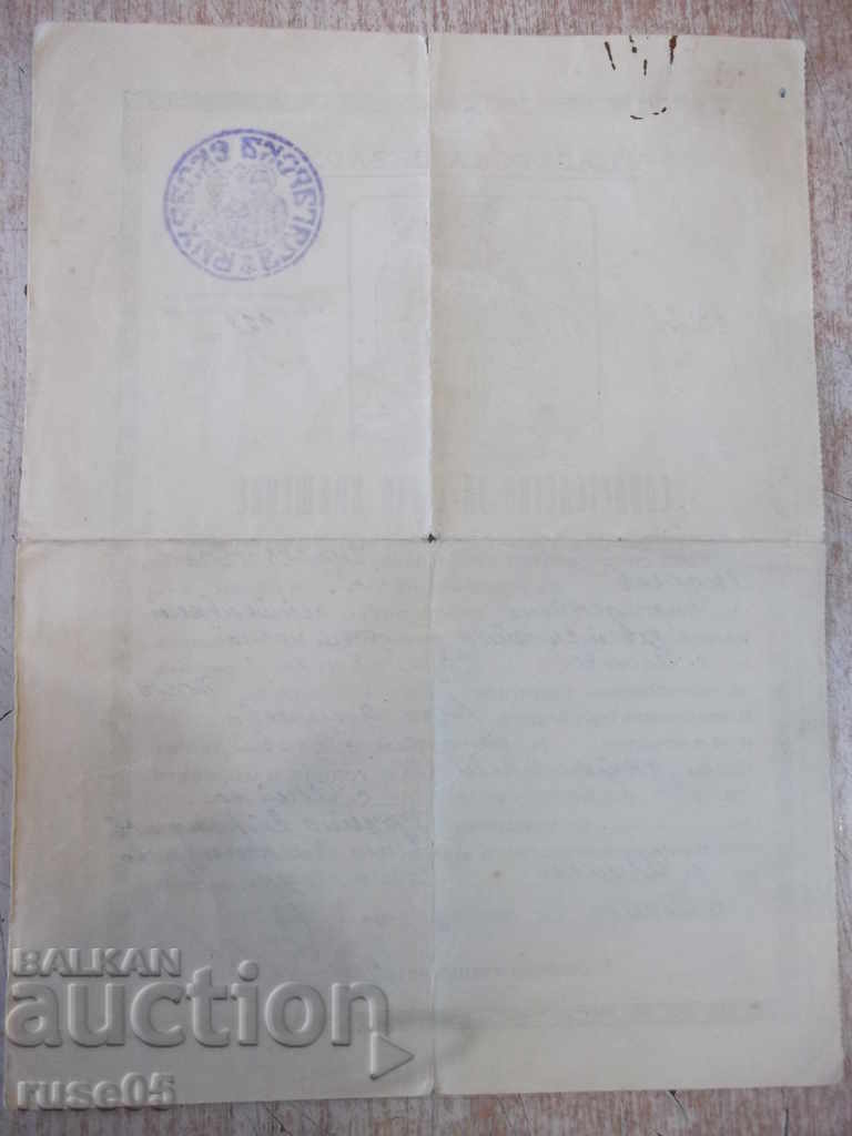 Auction Baptism certificate Auction Baptism certificate