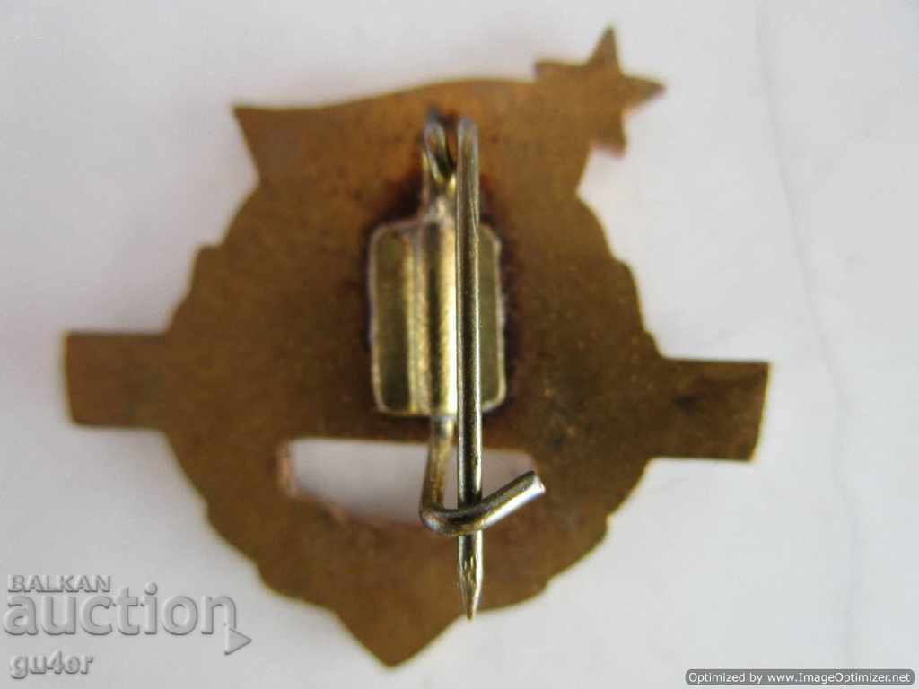 Auction ❌❌❌ Hungary, 1957, badge, bronze, enamel, gilt, ORIGINAL❌❌ Auction ❌❌❌ Hungary, 1957, badge, bronze, enamel, gilt, ORIGINAL❌❌