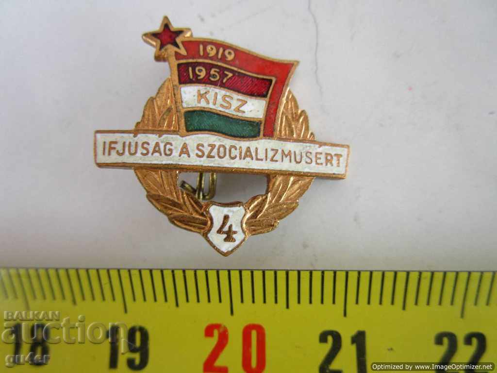 Унгария, 1957, значка, бронз, емайл, позлата, ОРИГИНАЛ