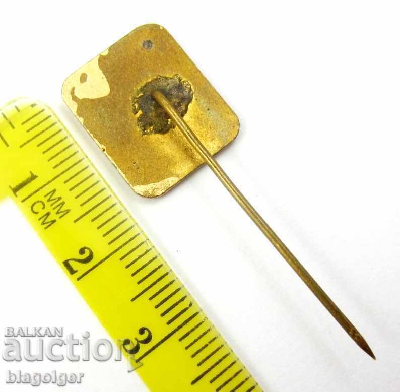 Auction Sports all-around "Rodina"-Soc.-Email Auction Sports all-around "Rodina"-Soc.-Email