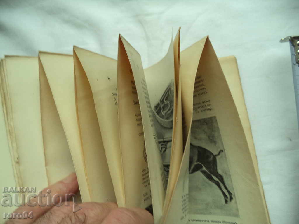 Auction HISTORY OF PLASTIC ARTS - NIKOLAY RAINOV - 1932 Auction HISTORY OF PLASTIC ARTS - NIKOLAY RAINOV - 1932