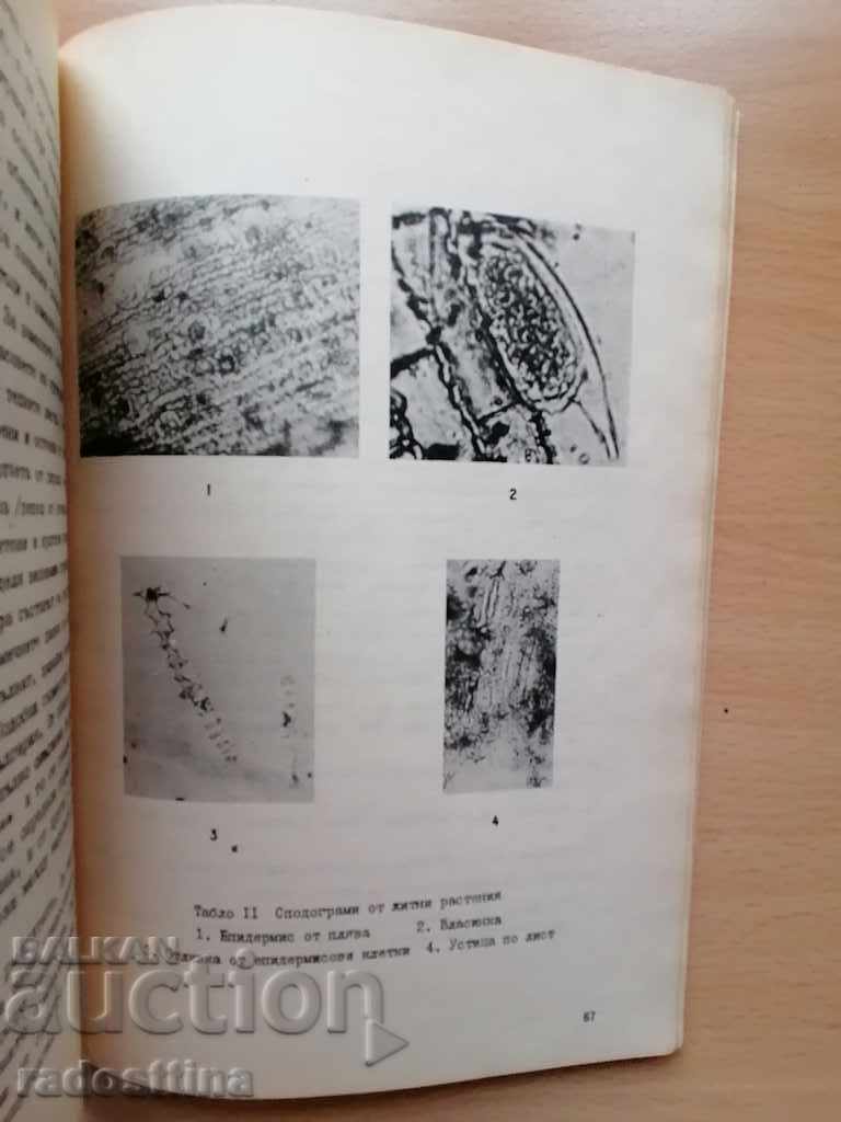 Interdisciplinary Studies 2/1978 - 6 Interdisciplinary Studies 2/1978 - 6